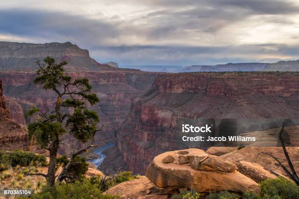 Grand Canyon Stock Photo - Download Image Now - Grand Canyon, Grand Canyon National Park, Arizona