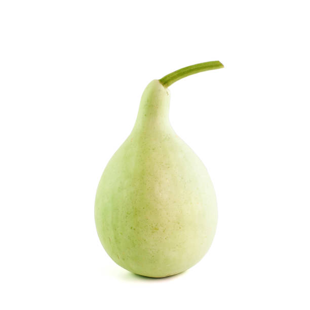 istock calabash isolated on white background with Clipping Path 870365232