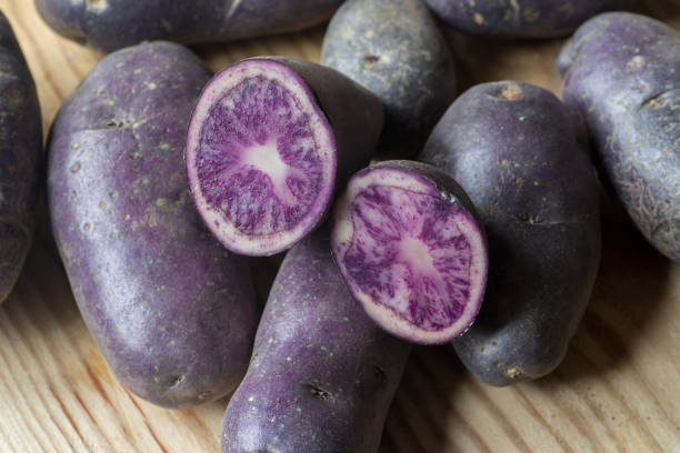 istock violet potatoes on wooden background closeup 870371738