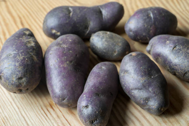violet potatoes on wooden background closeup stock photo
