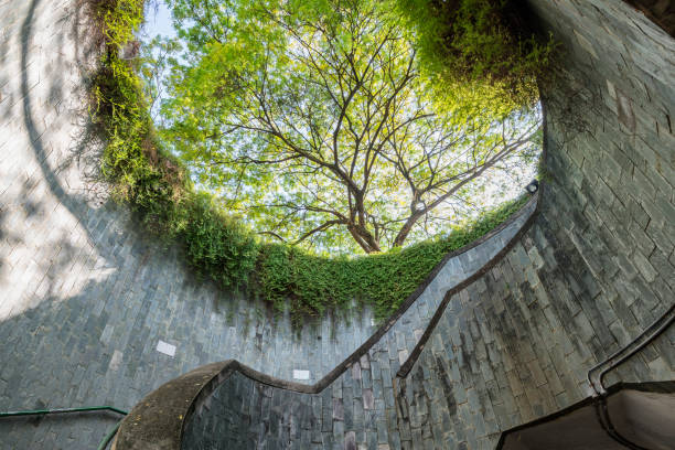 istock Nature at Underground Crossing, Singapore 870394220