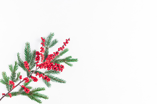 Christmas composition. Christmas pattern made of fir tree branches and red berries on white background. Flat lay, top view, copy space