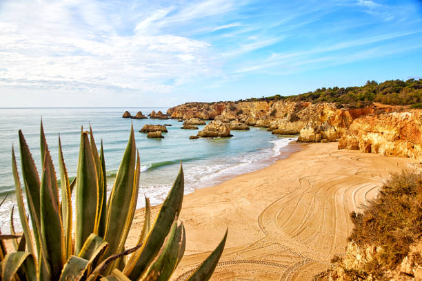 istock Beach of Algarve and Atlantic Ocean 870394488