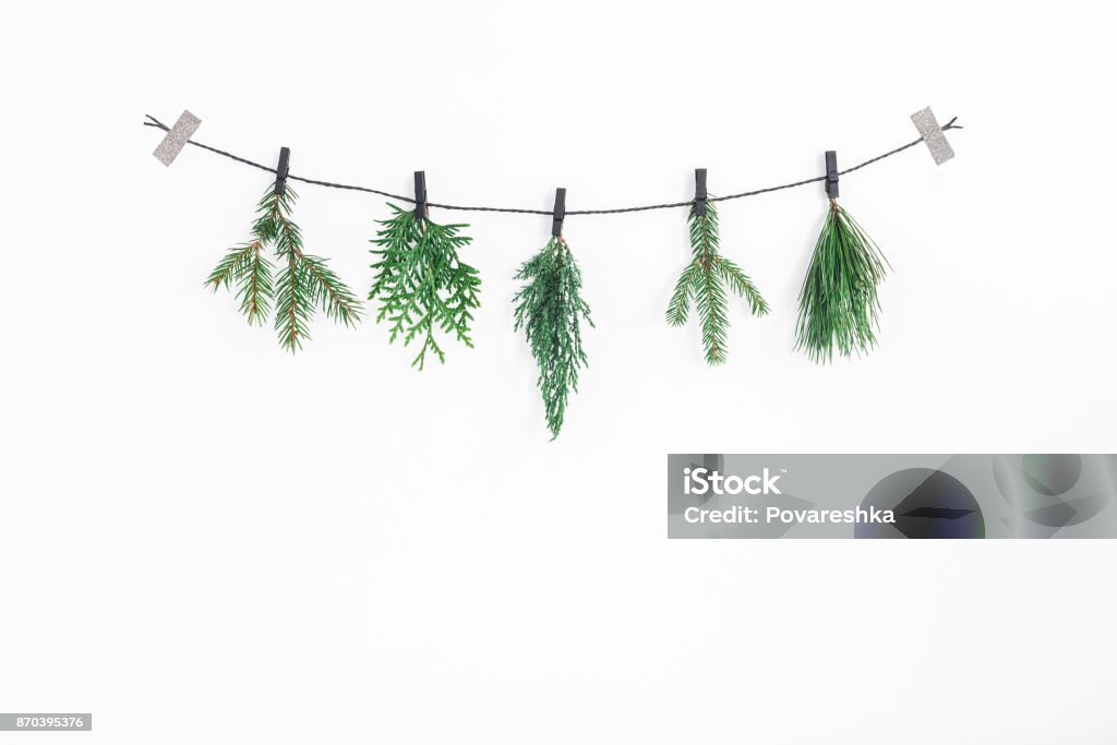 Christmas garland, conifer tree branches. Flat lay, top view Christmas composition. Christmas garland made of conifer tree branches on white background. Flat lay, top view, copy space Christmas Stock Photo