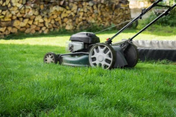 istock The lawn is mown with the lawn mower 870402776