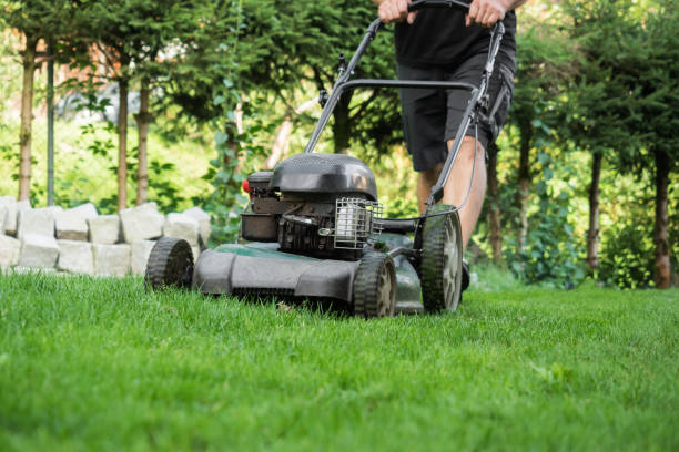 istock The lawn is mown with the lawn mower 870402828
