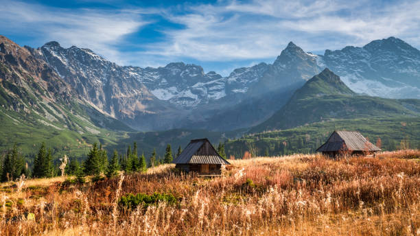 beau coucher de soleil dans la vallée de montagne, tatras en automne - monts de tatra photos et images de collection