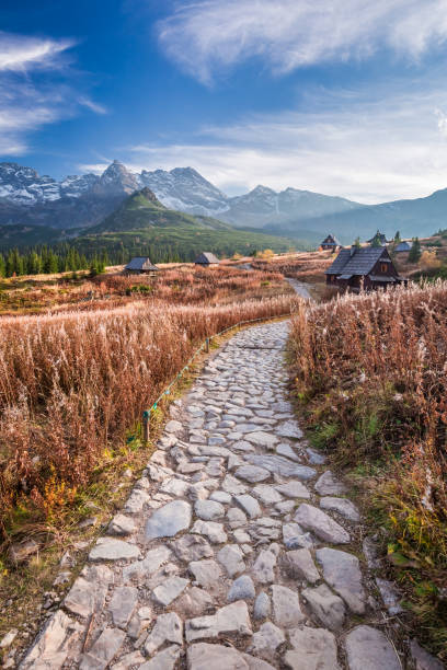 istock Stunning path to the Tatras at sunset in autumn 870413092