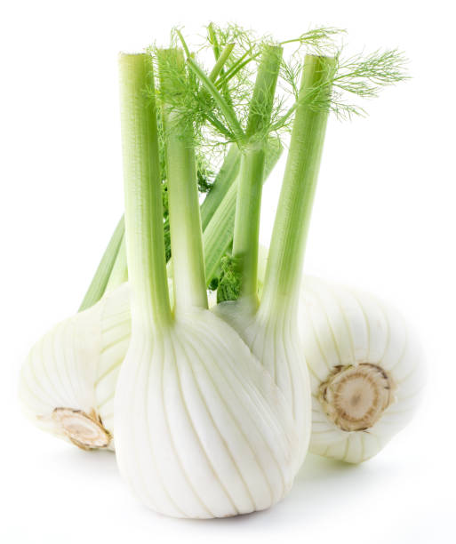 istock Florence fennel bulbs. 870413346