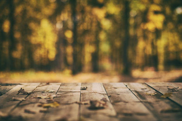 istock Wooden floor terrace over autumn forest background 870420020