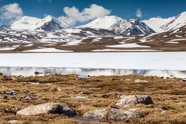 istock Barskoon (Arabel) Syrts at Issyk Kul Region 870423226