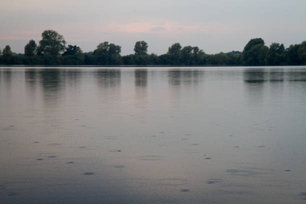 The shore of a beautiful lake surrounded by foliage Shot in Northern England, this Fenn is home to many species of aquatic bird life and wonderful scenery kendall stock pictures, royalty-free photos & images