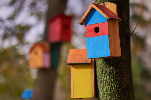 istock Beautiful multi-colored birdhouses in the Park. 870424094