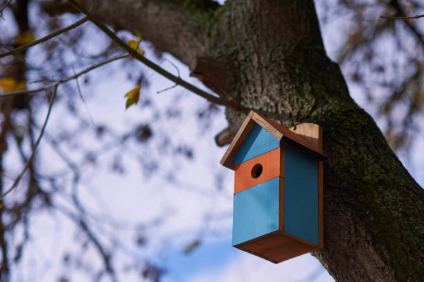 istock Beautiful multi-colored birdhouse in the Park. 870424100