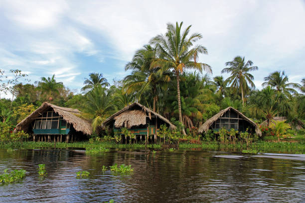 オリノコ川 - orinoco river ストックフォトと画像