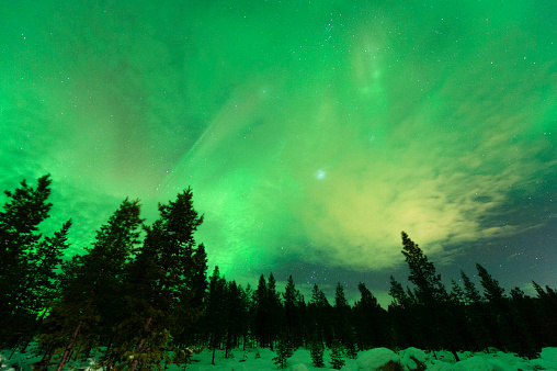 Aurora Borealis, planet Jupiter and The Pleiades above boreal forest.