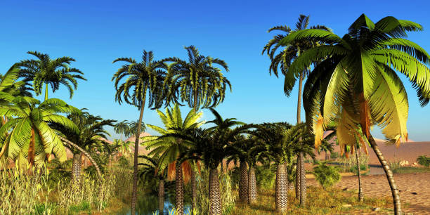 istock Beautiful natural background -African oasis 3d rendering 870431366