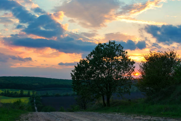 istock landscape, Ukrainian landscape, sunset in the field, 870433994