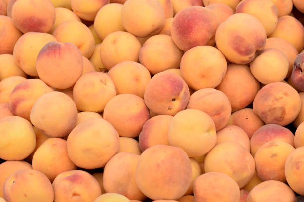 istock Pile of Peaches 870435108