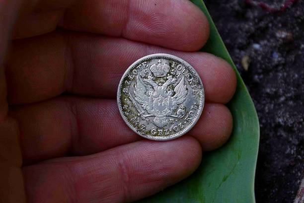 old silver coin on a palm and green leaf