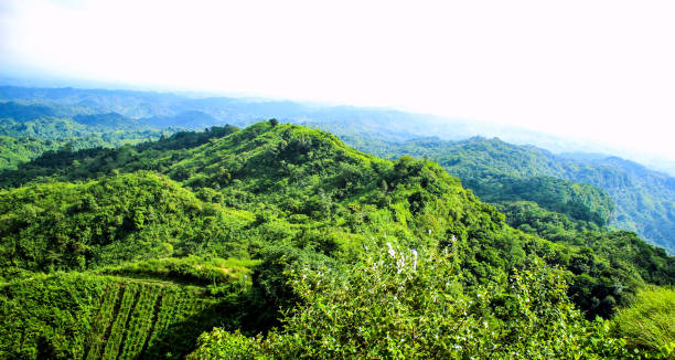 istock Hills landscape Image, Chittagong ,Bangladesh 870438316