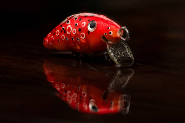 istock Red lure on wet wooden table 870442140