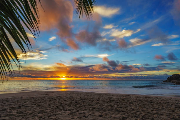 istock looking through palm leaf at sunset at anse georgette,praslin,seychelles 11 870450630