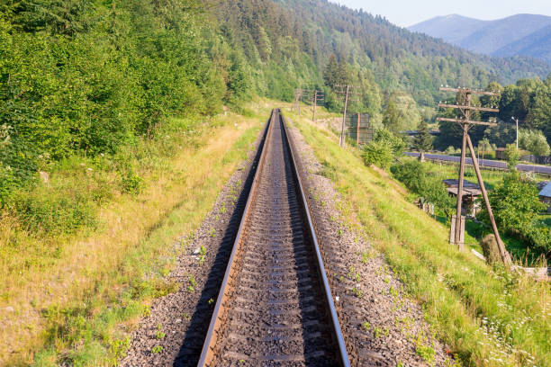 Travel, rest. A view of the railway tracks surrounded by trees, grass and bushes. Horizontal frame Travel, rest. A view of the railway tracks surrounded by trees, grass and bushes municipality of jesenice photos stock pictures, royalty-free photos & images