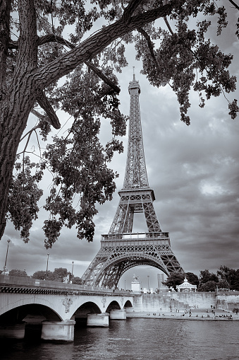 Monochrome vintage view of Eiffel tower framed with the tree, Paris, France