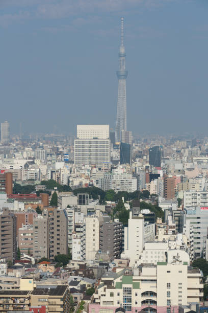 istock Tokyo Skyline with Tokyo Skytree in Japan 870463726