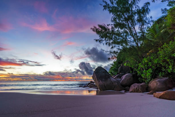 istock Spectacular romantic purple sunset at anse georgette, praslin, seychelles 7 870471334
