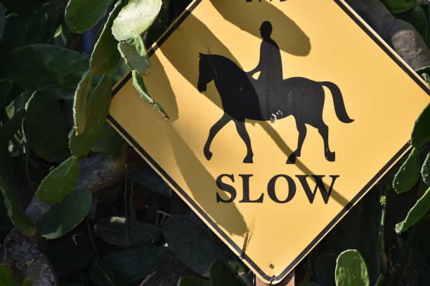 Horse crossing sign