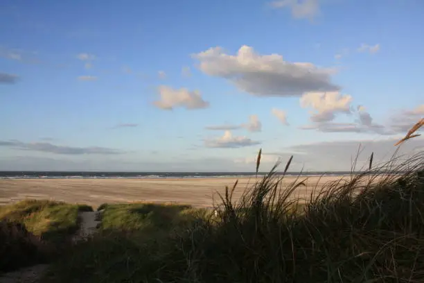 In the east of an East Frisian island, narrow paths lined with beach oats lead through the sand dunes to the endless sandy beach. In the background you can see the waves of the North Sea.