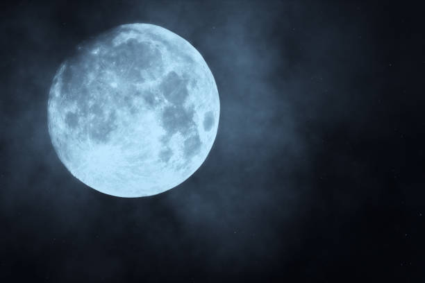 istock Dark night forest against full moon 3d illustration 870477928