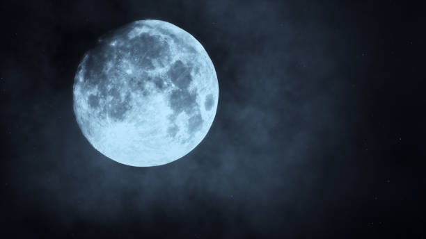 istock Dark night forest against full moon 3d illustration 870477938