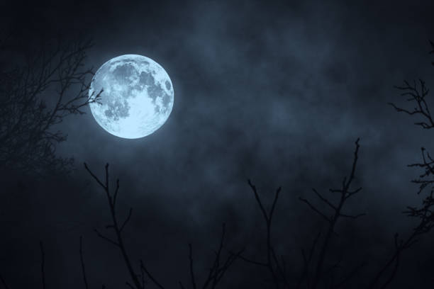 istock Dark night forest against full moon 3d illustration 870477960