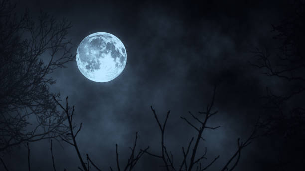istock Dark night forest against full moon 3d illustration 870477962