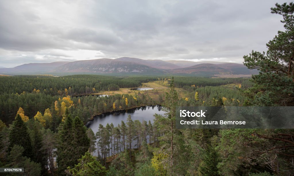 Cairngorms National Park Lake and Forest Landscape Beautiful view looking out onto Uath Lochans in Scotland Cairngorms National Park Stock Photo