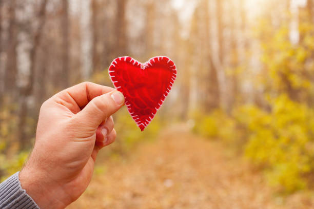 istock Valentine's red heart in man's hand 870485238