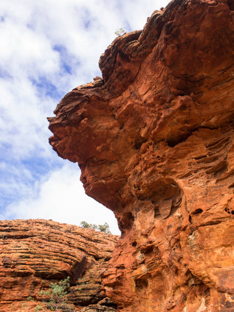 istock KINGS CANYON - WATARRKA NATIONAL PARK, AUSTRALIA 870488696