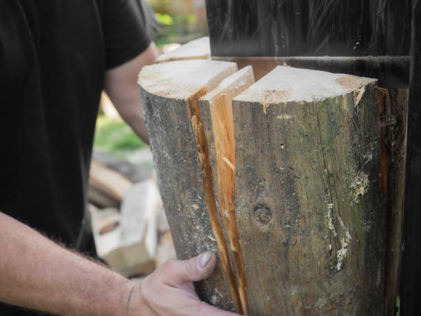 istock Firewood split with wooden splitter 870488788