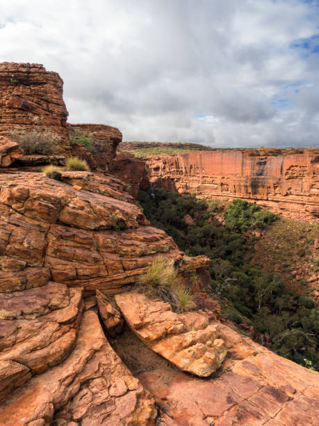 istock KINGS CANYON - WATARRKA NATIONAL PARK, AUSTRALIA 870489062