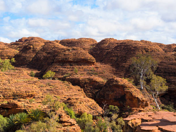istock KINGS CANYON - WATARRKA NATIONAL PARK, AUSTRALIA 870489124