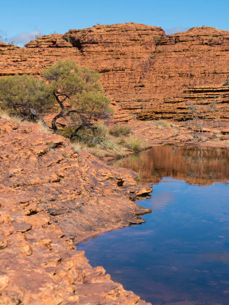 istock KINGS CANYON - WATARRKA NATIONAL PARK, AUSTRALIA 870489192
