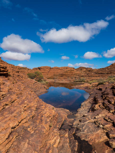istock KINGS CANYON - WATARRKA NATIONAL PARK, AUSTRALIA 870489196