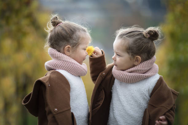 dos muchachas del gemelo idéntico que huele una flor - toddler child nature friendship fotografías e imágenes de stock
