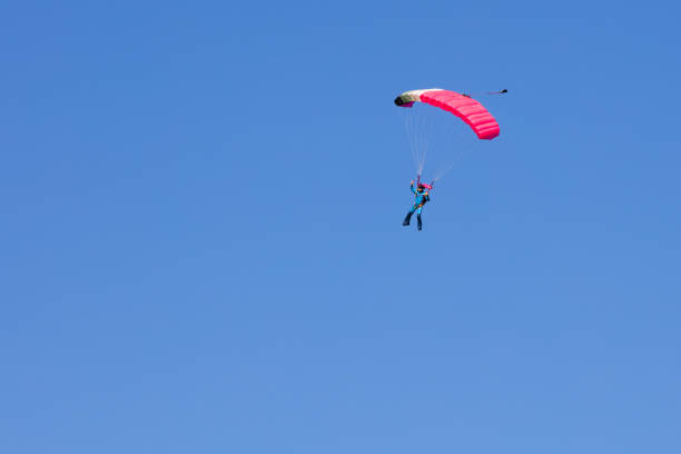 istock skydiver  on black and pink parachute in summer day 870493030