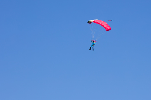 skydiver  on black and pink parachute in summer day