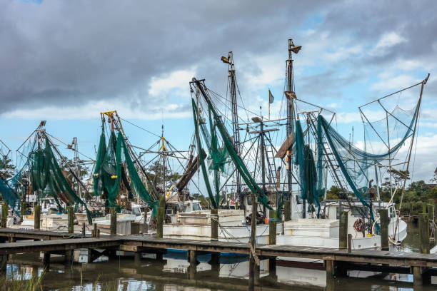 Harkers Island, NC, USA - October 24, 2017: as a storm front moves through, the local trawler fleet is berthed an awaiting better weather. This group is adjacent to the main road coming onto the island, and they almost seem to be standing at attention and saluting passers-by.
