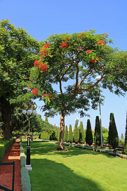 istock Bahai gardens in Acre (Akko), Haifa, Israel 870499252